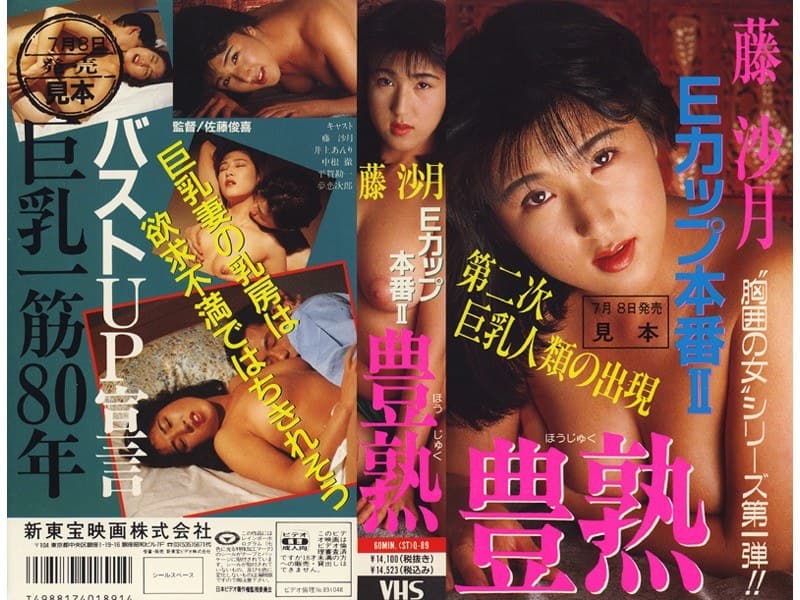 Eカップ本番 II 豊熟 藤沙月