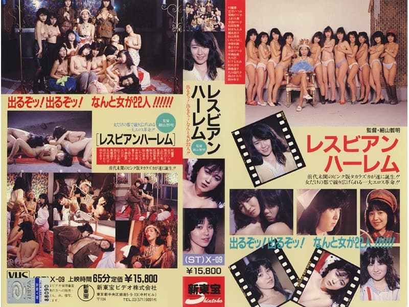 レズビアンハーレム