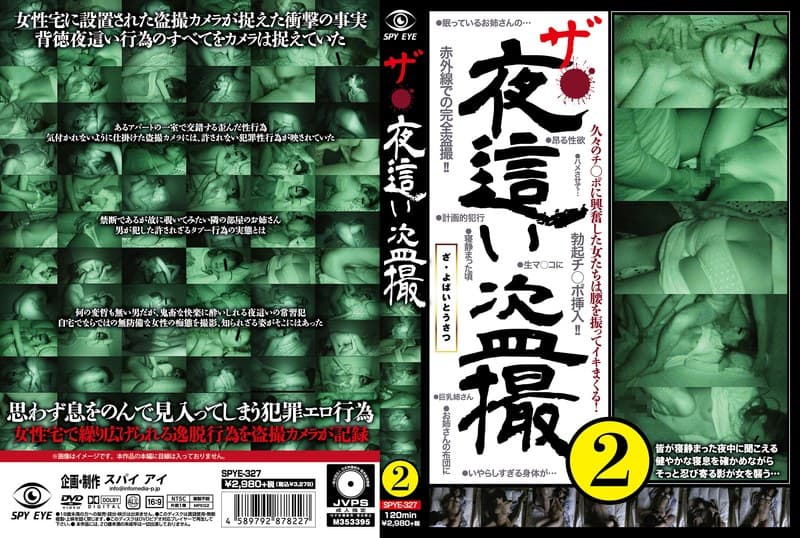 ザ・夜●い盗撮2