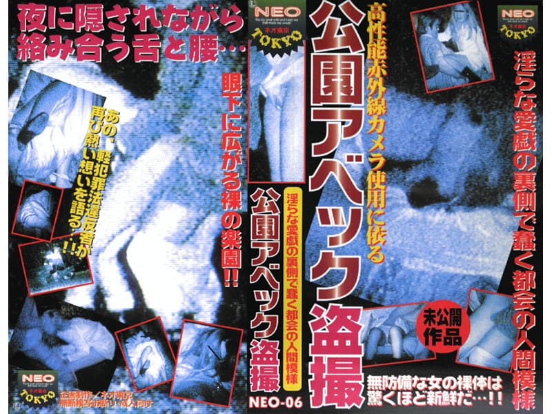 公園アベック盗撮