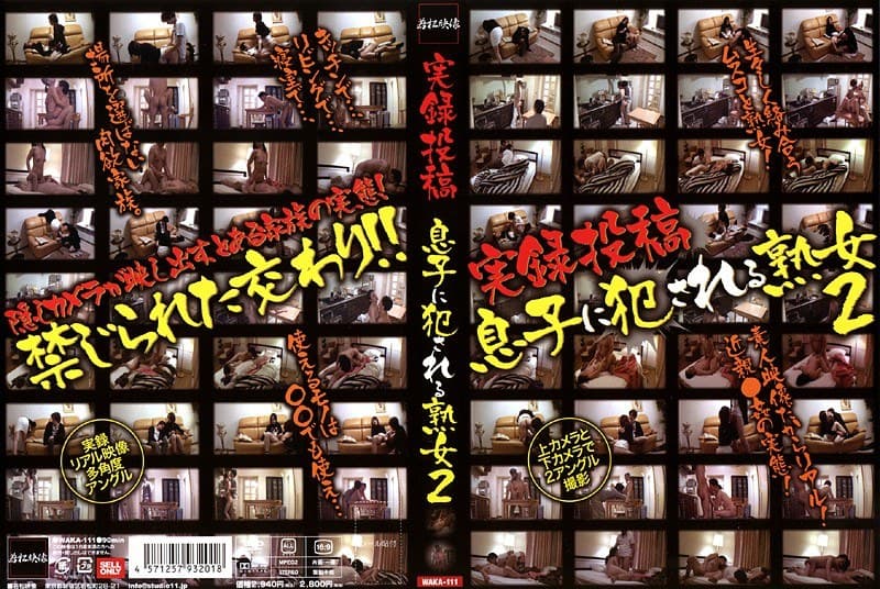 実録投稿 息子に犯●れる熟女 2