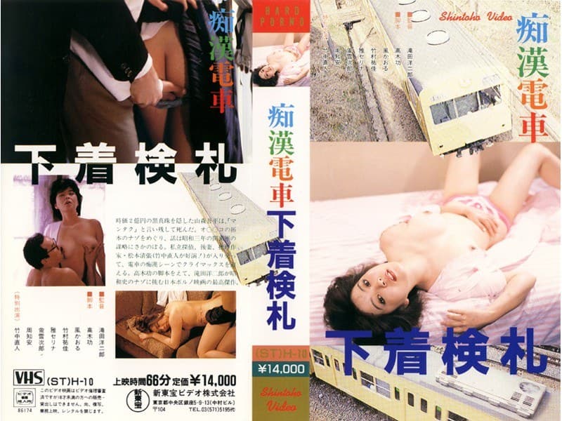 痴●電車 下着検札