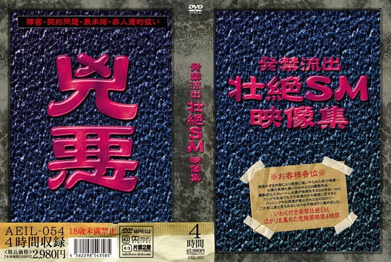 発禁流出 壮絶SM映像集