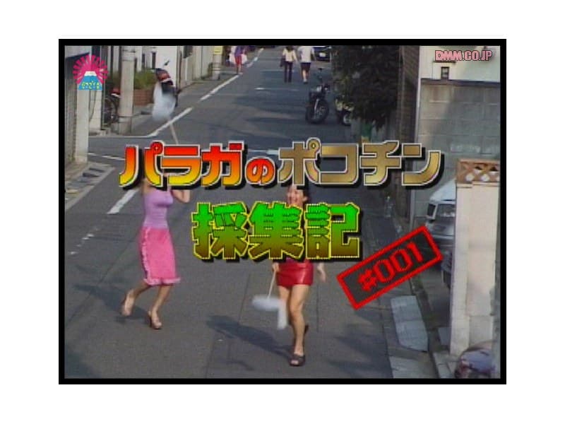 パラガのポコチン 採集記 #1