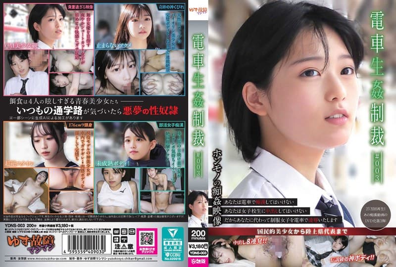 電車生姦制裁 #003